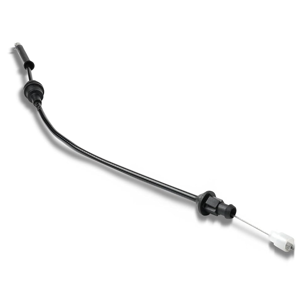 oberon on-wall(ぺア) 51S52+VXvUL._UF1000,1000_QL80_.jpg